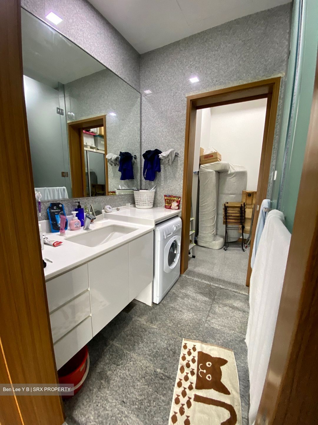 Watertown (D19), Apartment #379740241